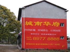 上林百分之90的人都不了解的农村墙体广告