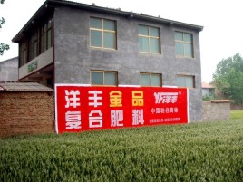 上林如何让墙体广告展现最大化效果