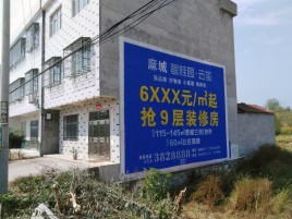 上林墙体广告质量分析