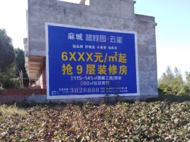 上林品牌公司青睐的墙体广告