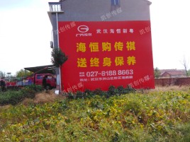 上林墙体广告影响褪色的因素