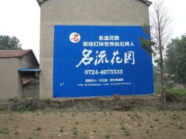 上林农村墙体广告的长尾效应