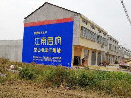 上林农村墙体广告在不同形式上面展现的不同特色