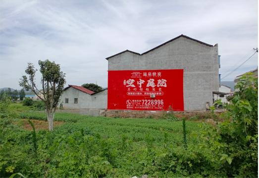 上林做墙体广告的意义