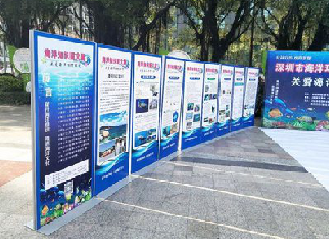 上林KT板的种类和知识。